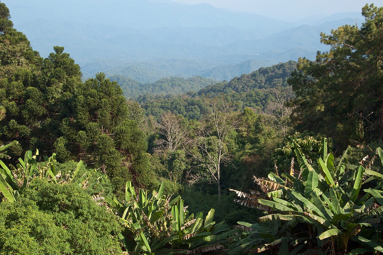 Doi Suthep-Pui National Park