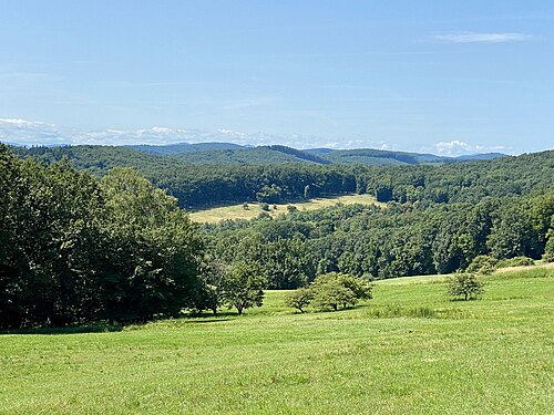 Laaber Kaiserzipf