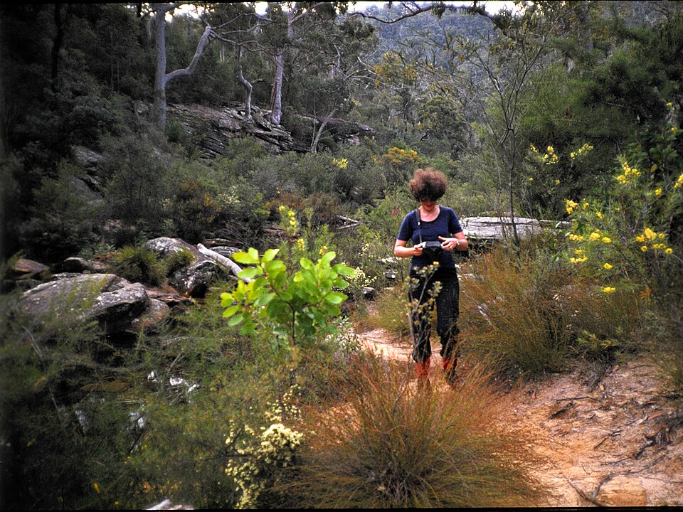 A photograph of Royal National Park