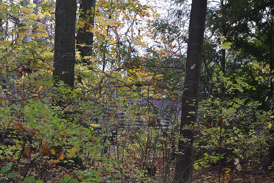 A photograph of Naturtheater Friedrichshagen