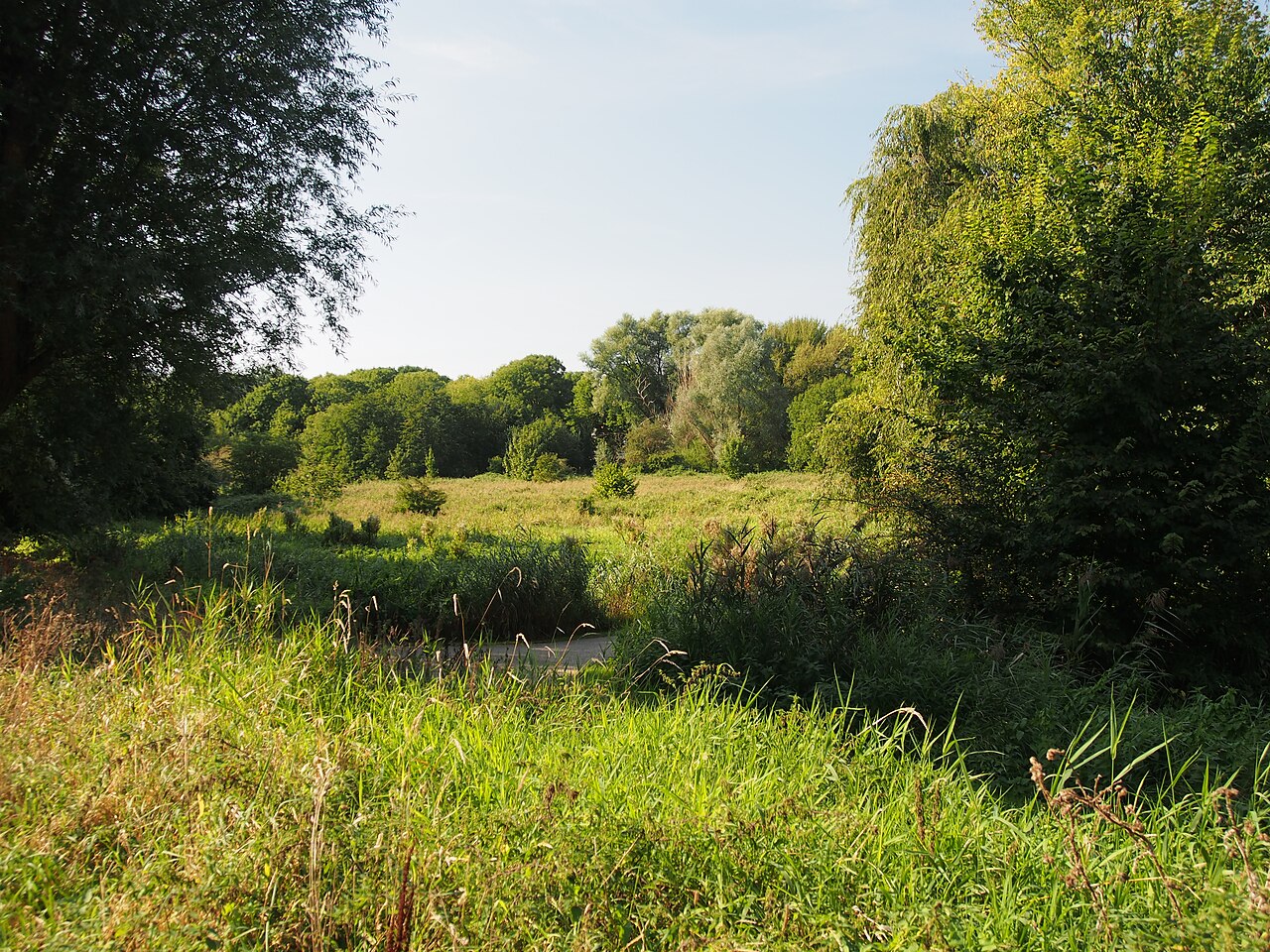 Flevopark fotoğrafı