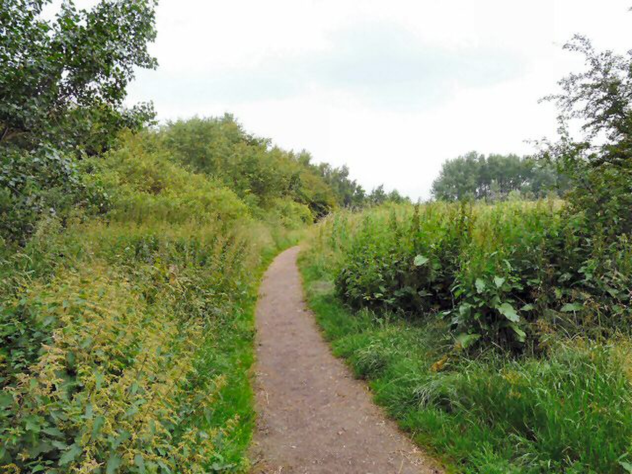 Highfield Country Park の写真