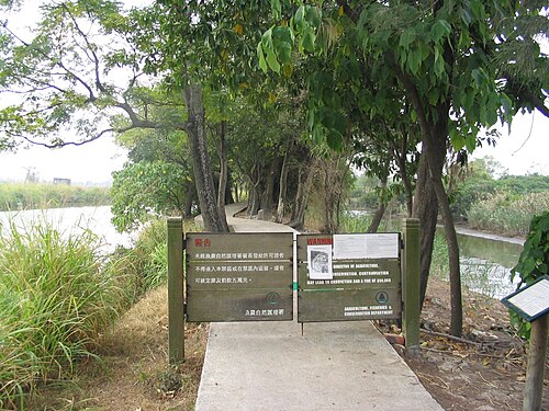 米埔自然護理區 Mai Po Nature Reserve