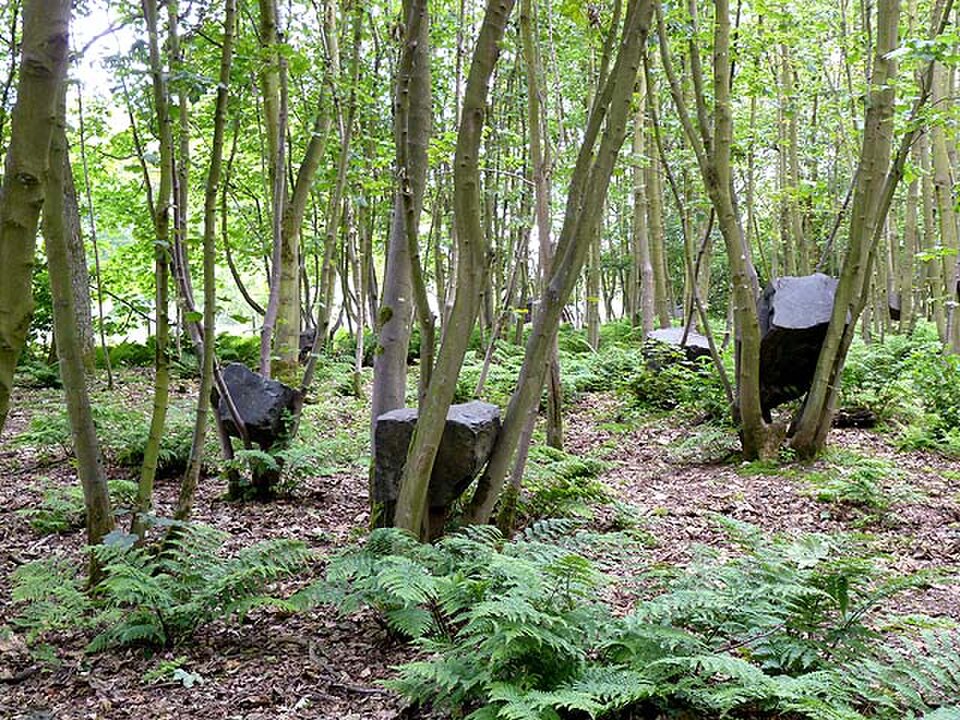 A photograph of Jupiter Artland