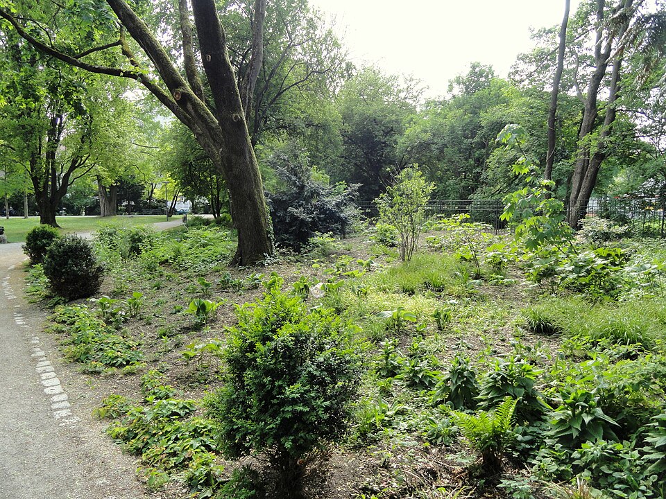 A photograph of Alter Botanischer Garten