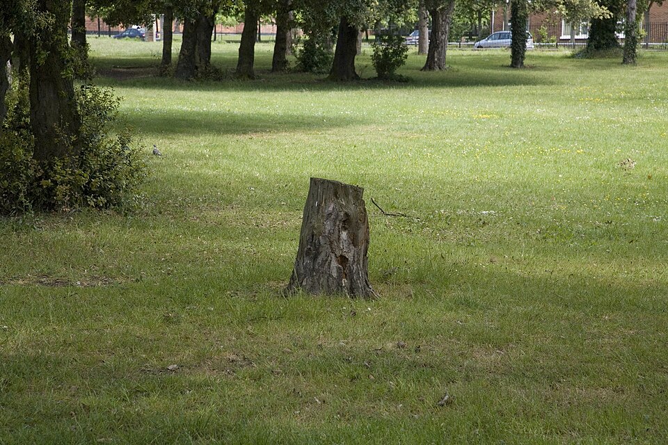 A photograph of Saint Anne's Park
