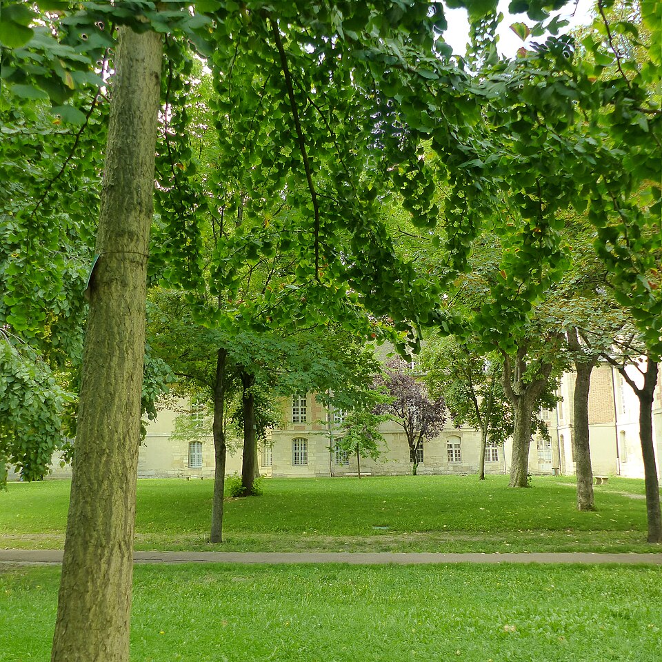 A photograph of Jardin de l'Hôpital Saint-Louis