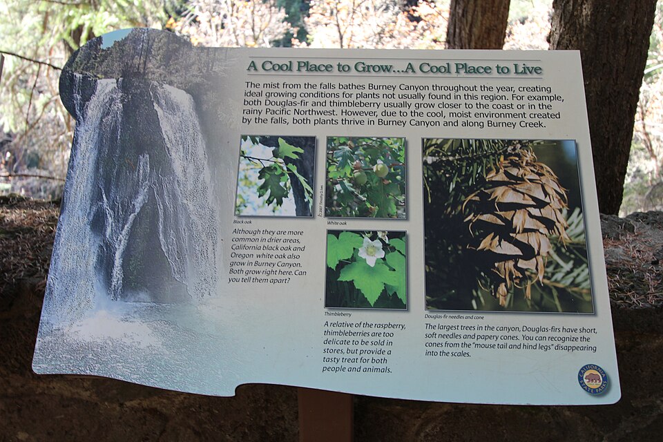 A photograph of Legacy Memorial Park