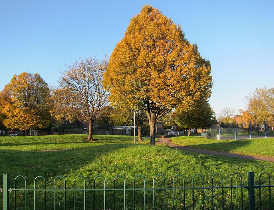 A photograph of Hartington Park