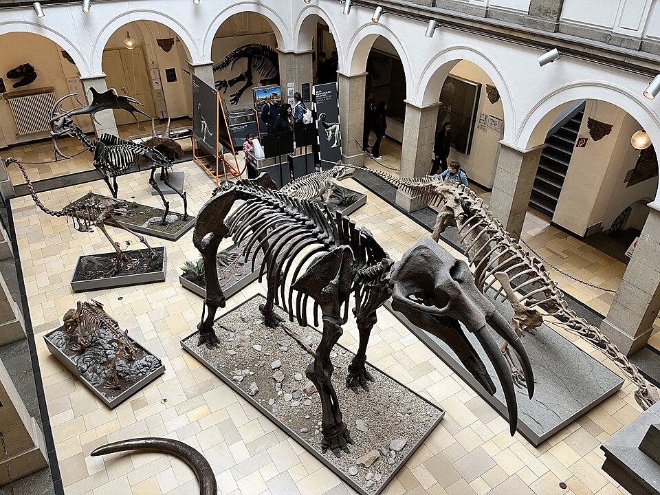A photograph of Palaeontological Museum