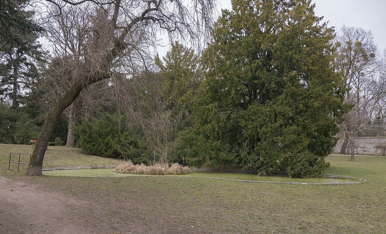 Maxingpark