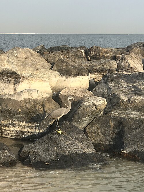 Jumeirah Beach
