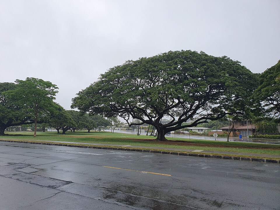 A photograph of Fort Ruger Mini Park