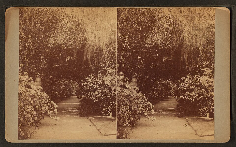 A photograph of Magnolia Collection