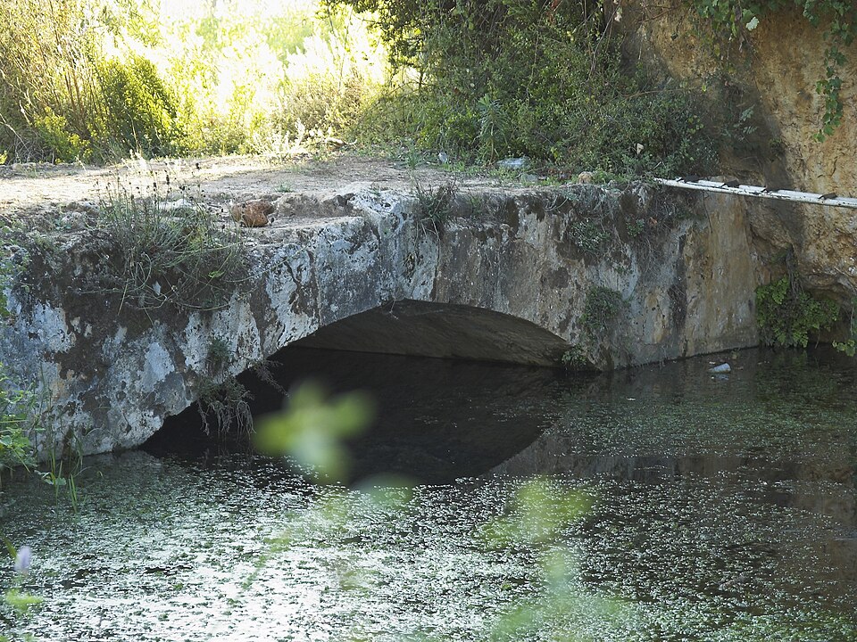 A photograph of Arapsu Bridge