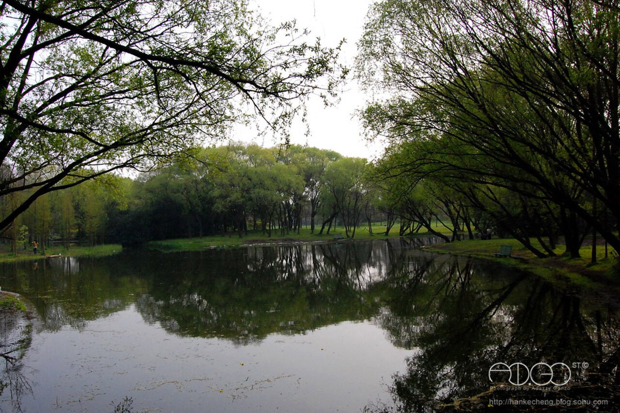 Gongqing Forest Park fotoğrafı