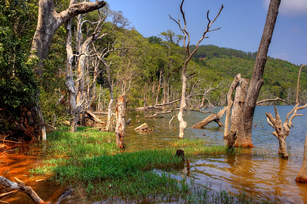 Nong Fa Lake fotoğrafı