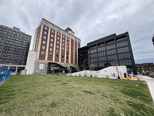 Museum of Contemporary Art