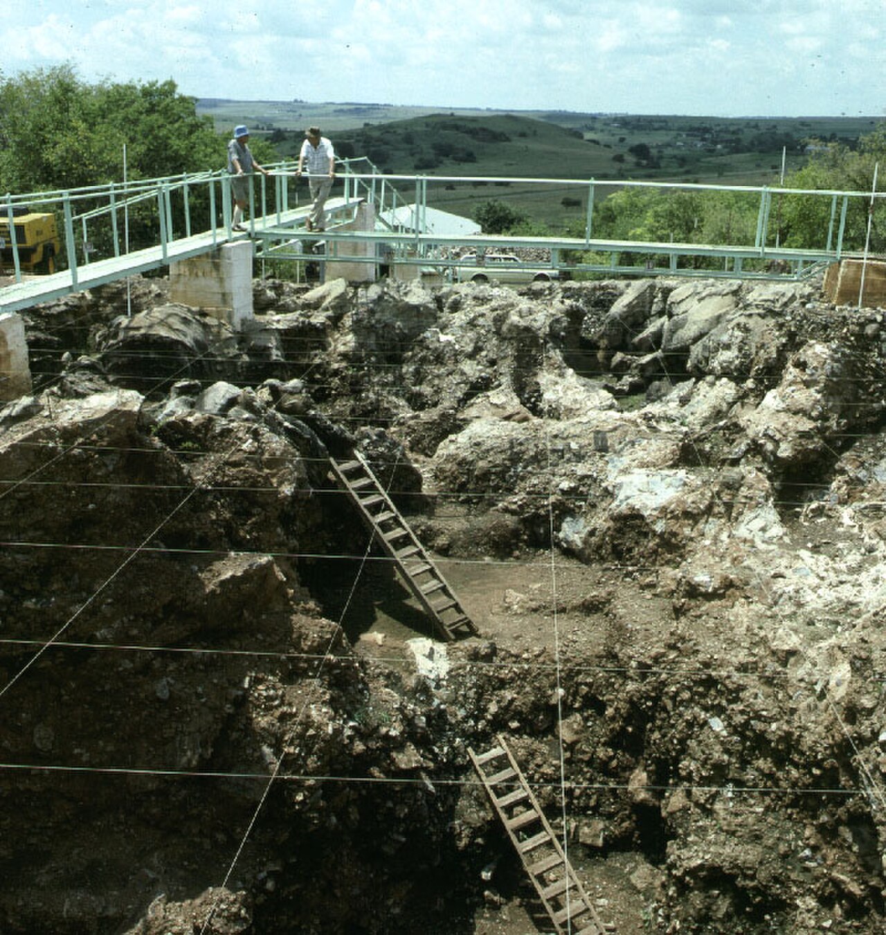 صورة Sterkfontein