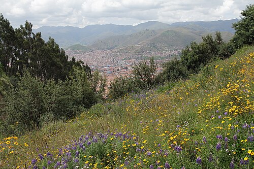 Planetarium Cusco