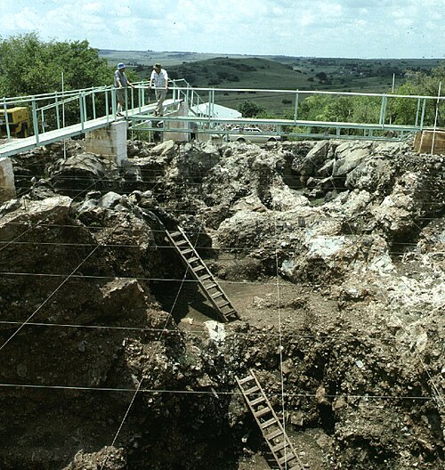 Sterkfontein