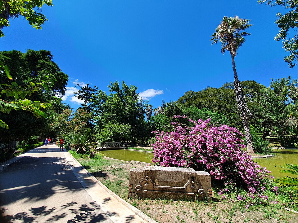 A photograph of Jardim Botânico Tropical
