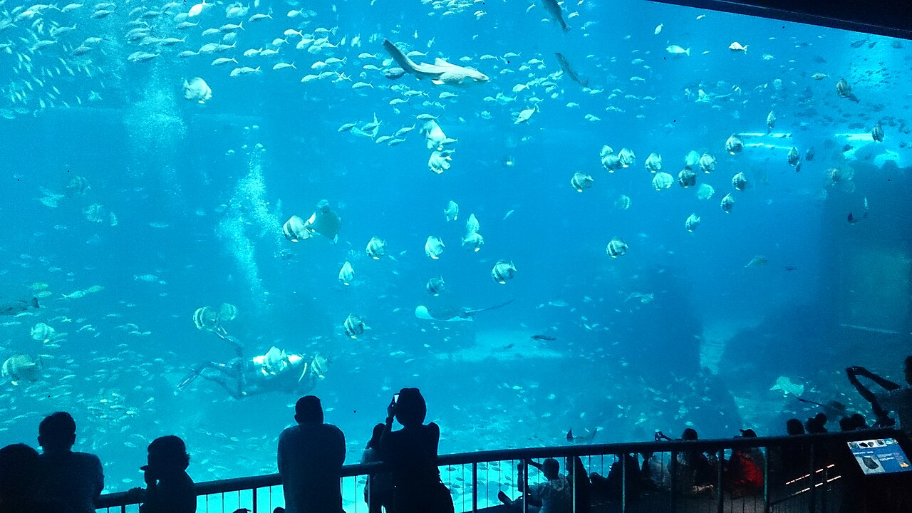 Singapore Oceanarium