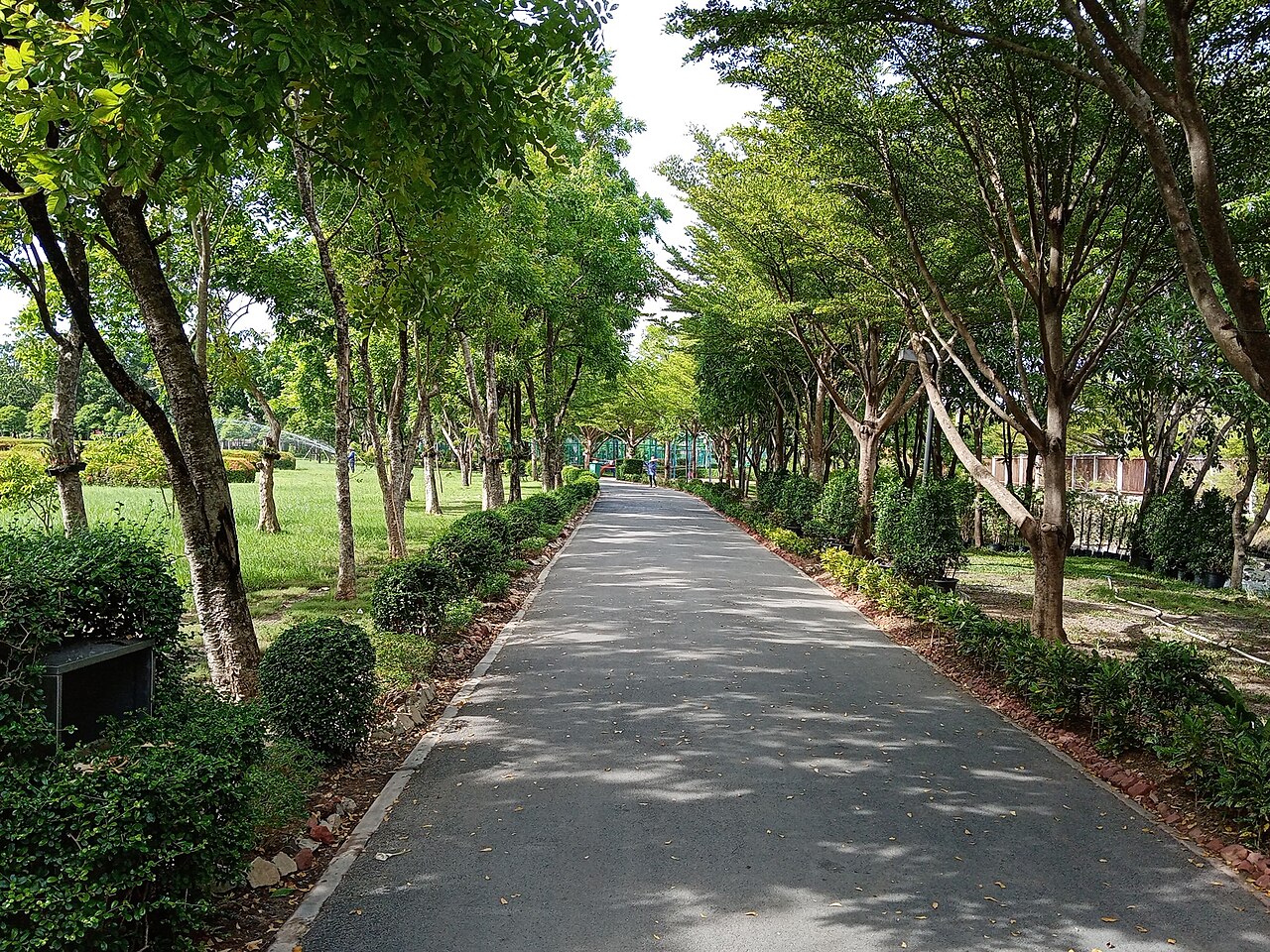 Thawi Wanarom Park fotoğrafı
