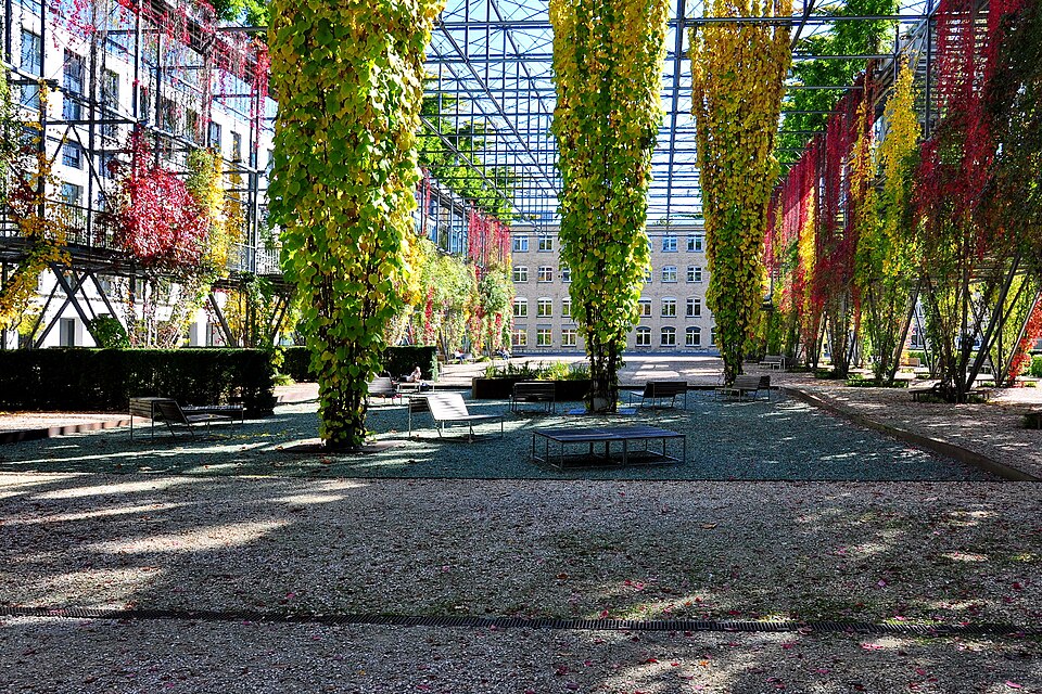 A photograph of MFO-Park