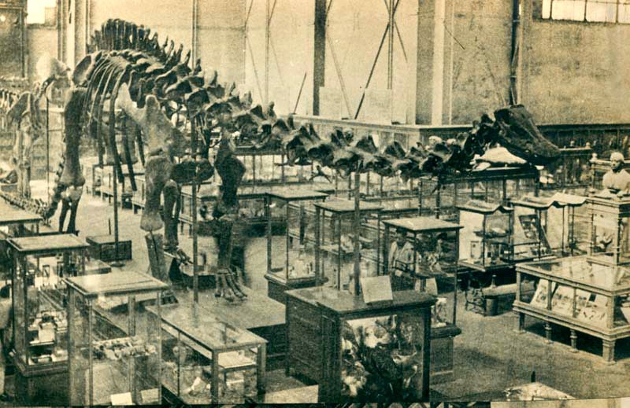 Museo de Historia Natural y Cultura Ambiental
