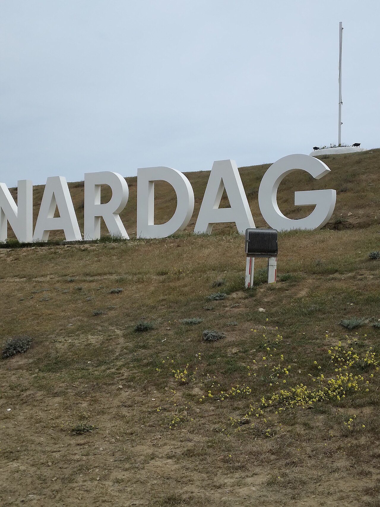 Une photographie de Yanar Dag