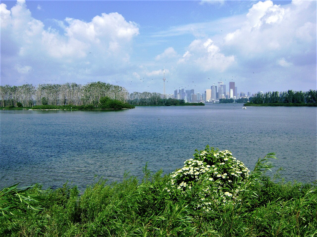 Tommy Thompson Park