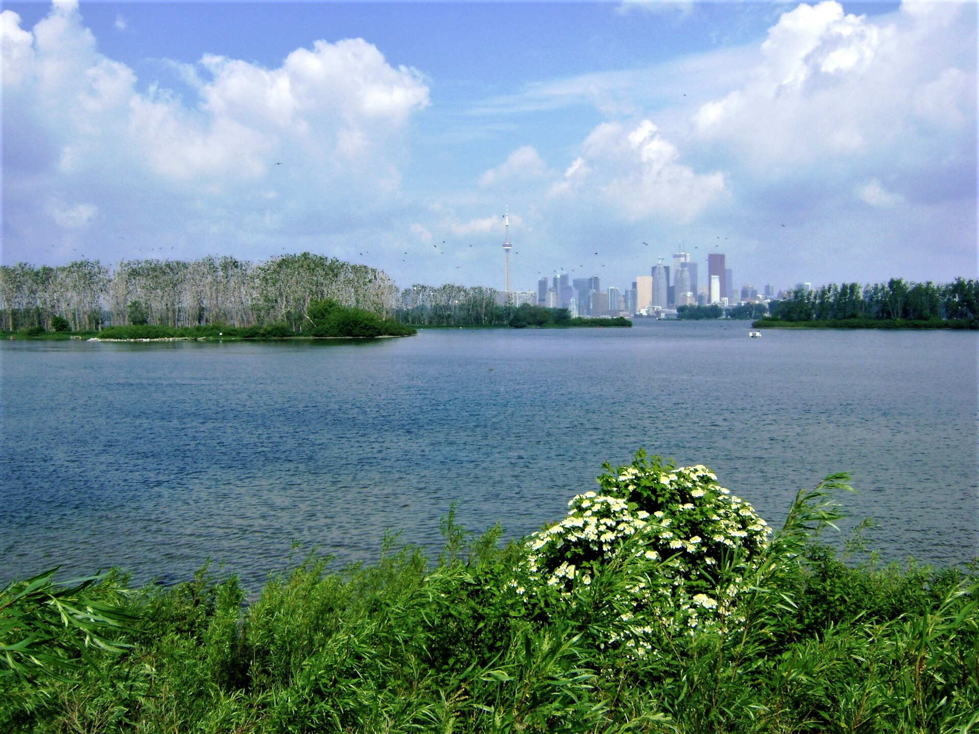 Leslie Street Spit