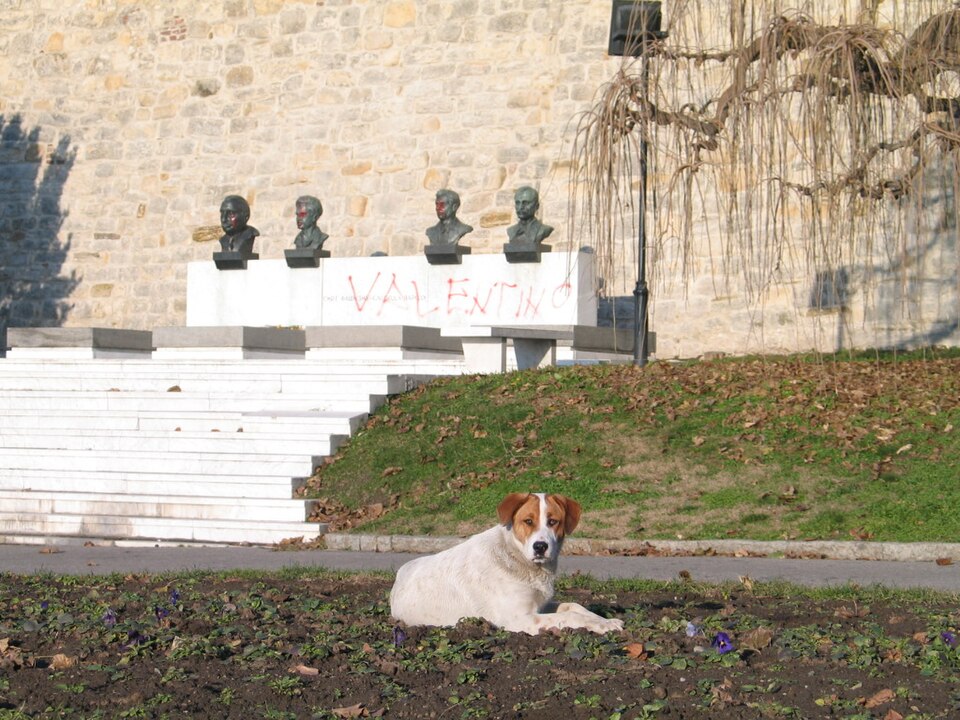 A photograph of Tomb of national heroes on Kalemegdan