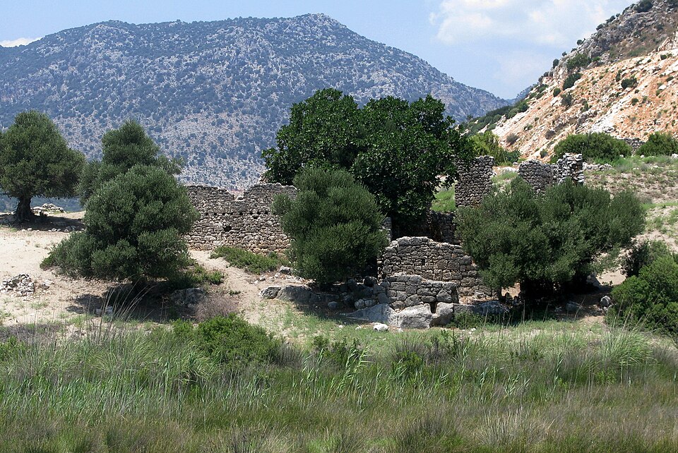 A photograph of Andriaca