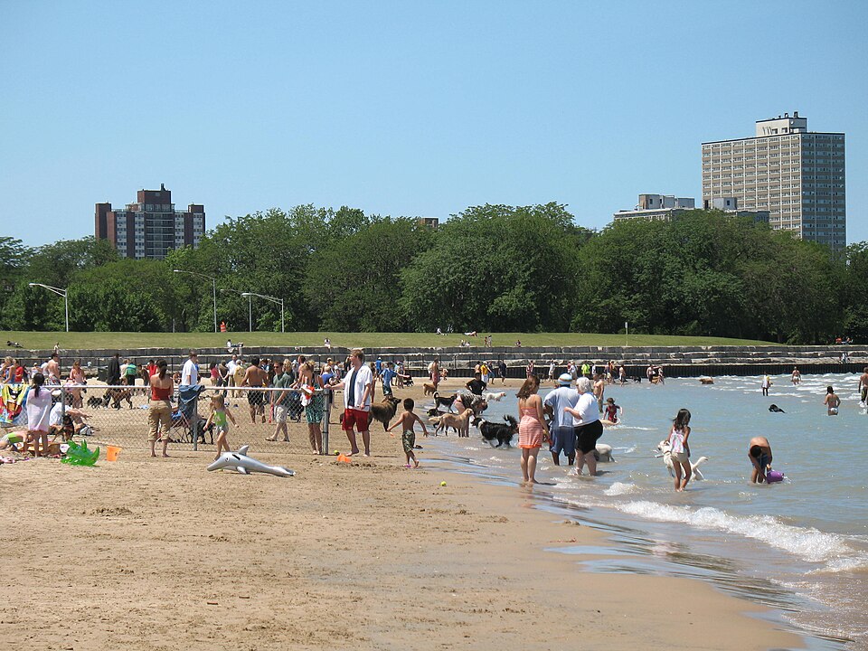 A photograph of Montrose Avenue Beach