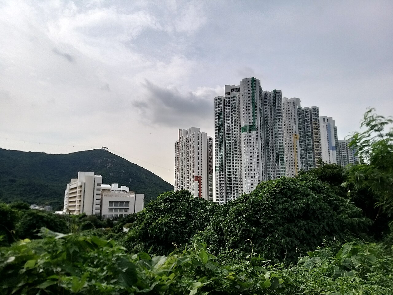 昂坪360 fotoğrafı