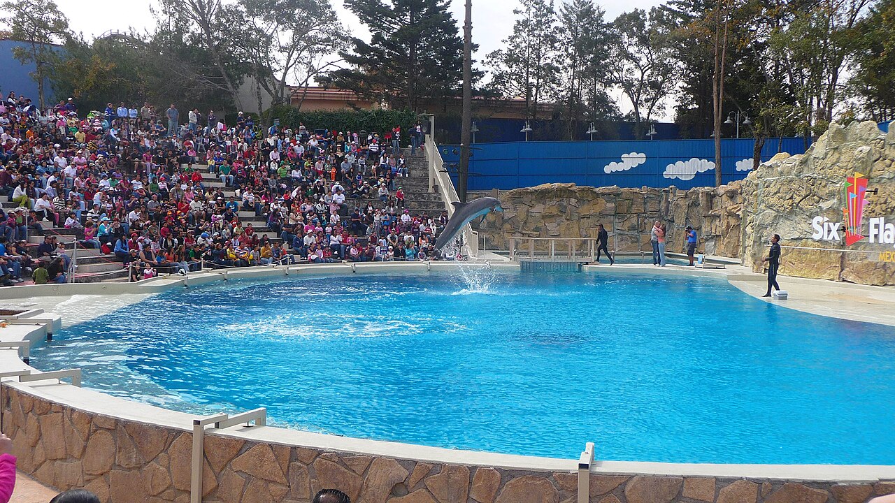 Une photographie de Six Flags México