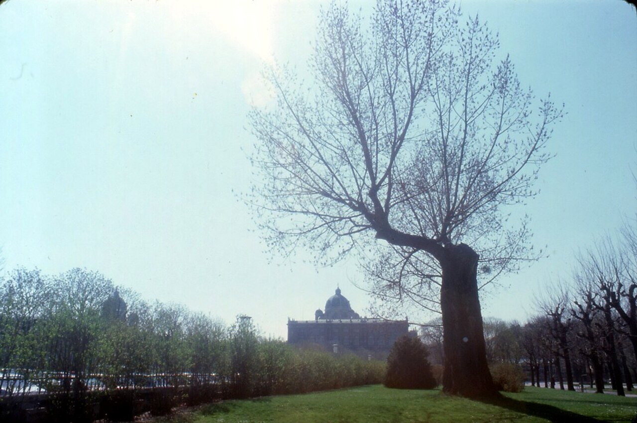 Volksgarten fotoğrafı