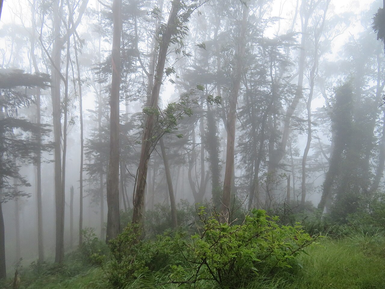 Una fotografia di Mount Davidson