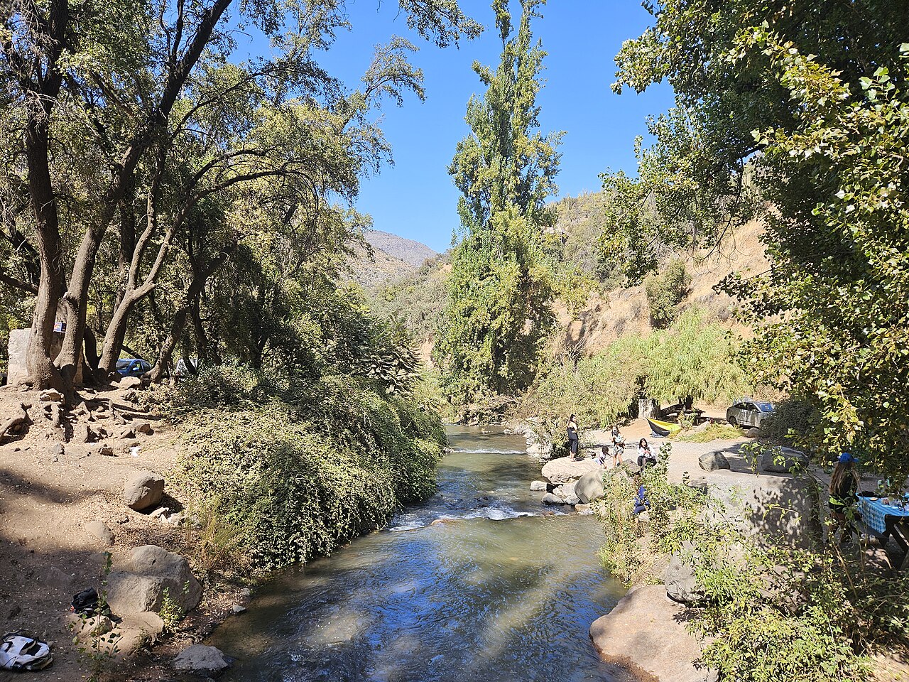 A photograph of Santuario de la Naturaleza El Arrayán