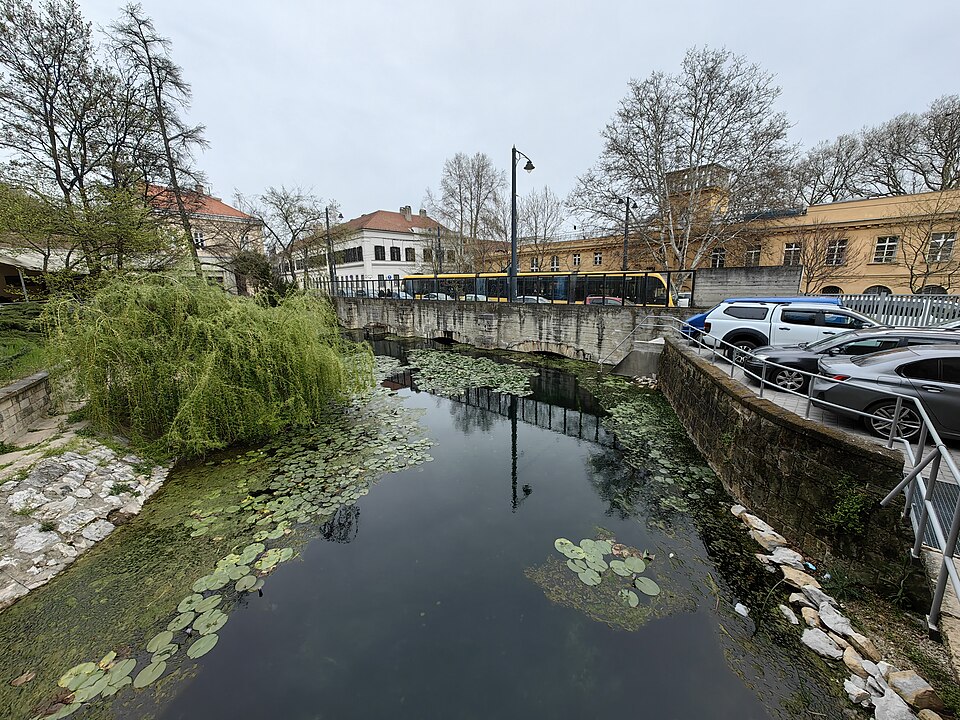 A photograph of Molnár János