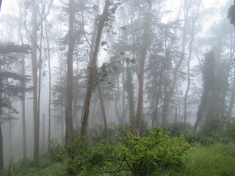 A photograph of Mount Davidson