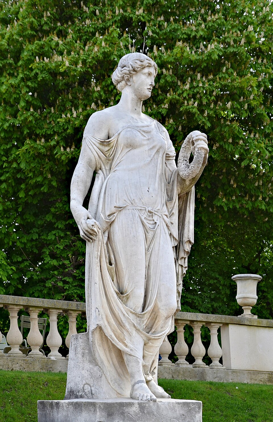 A photograph of Flore
