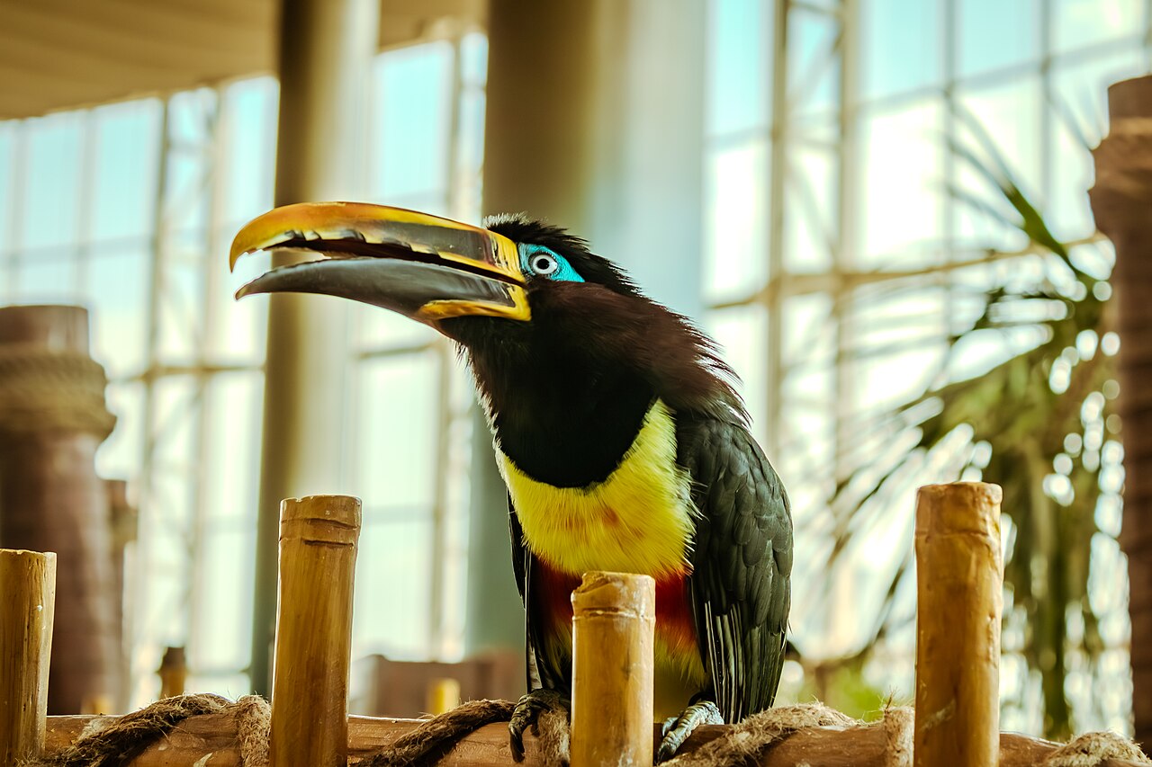SeaWorld Abu Dhabi