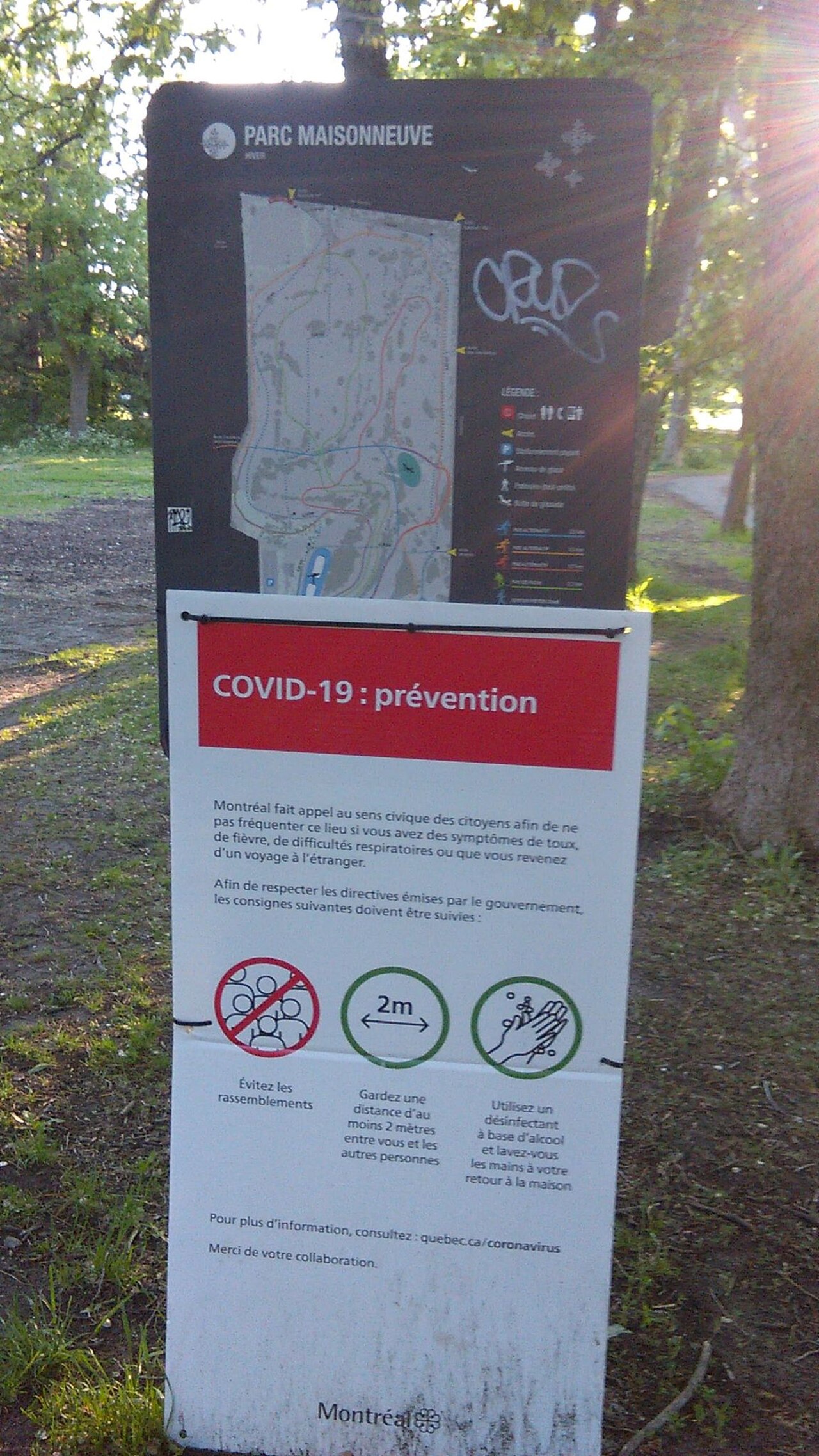 A photograph of Maisonneuve Park