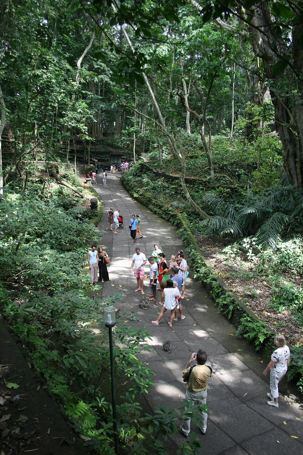 Ein Foto von Sacred Monkey Forest Sanctuary