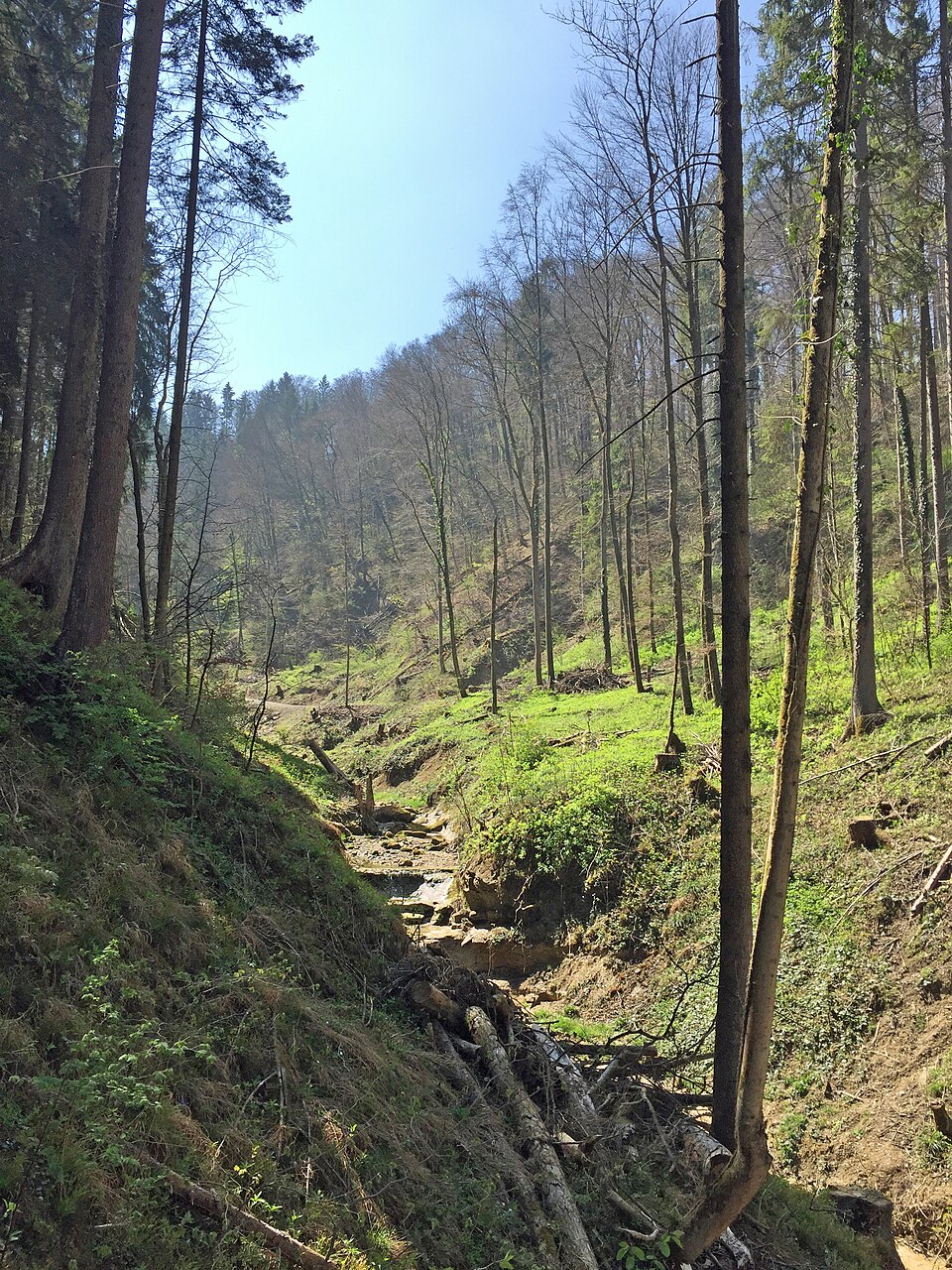 A photograph of Sagentobelbach