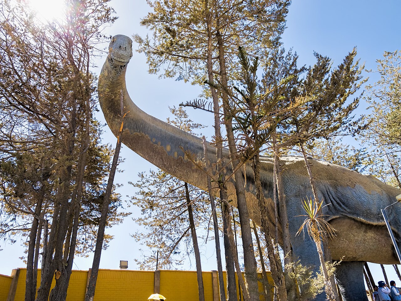 صورة Parque Bolivia