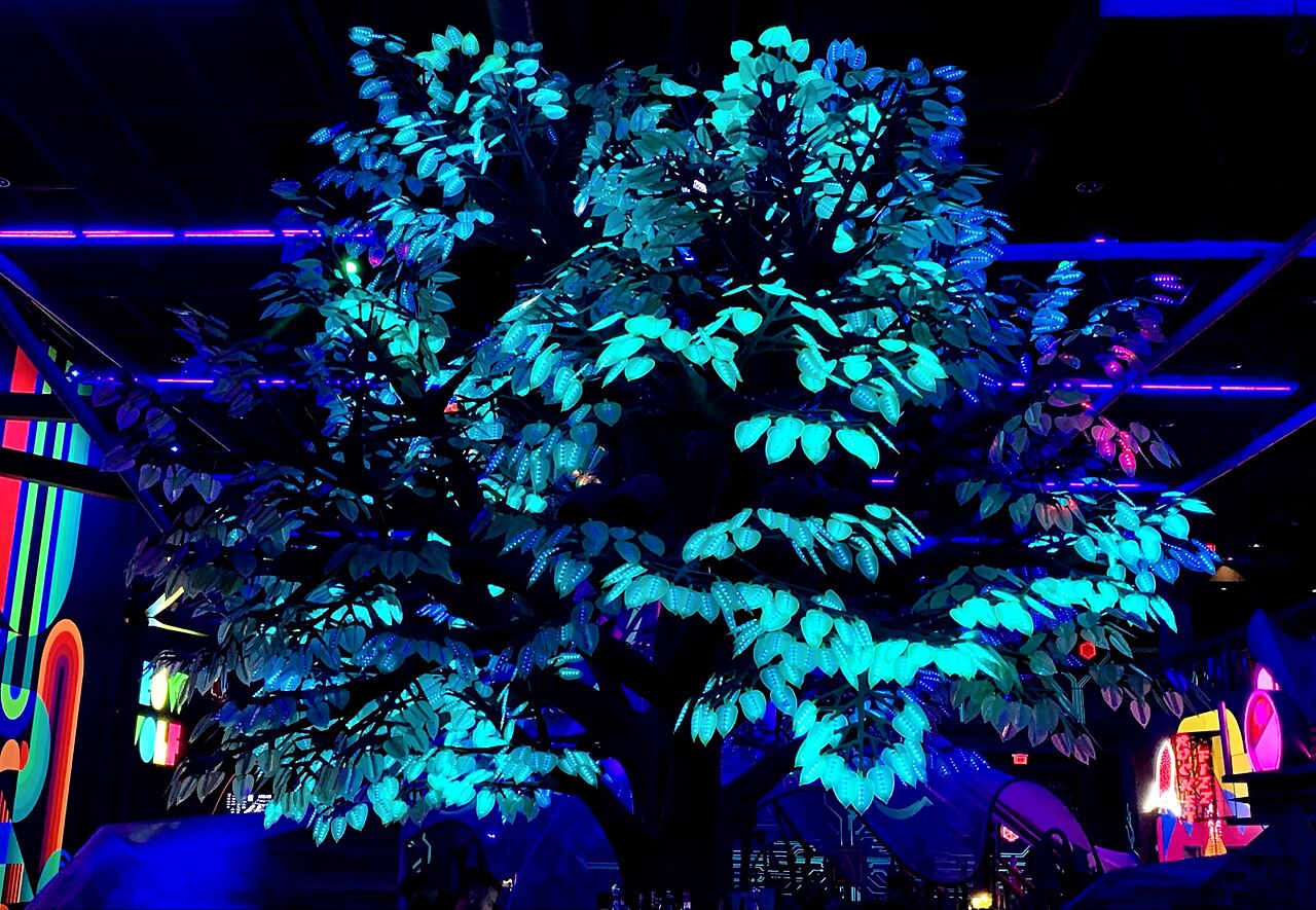 AREA15의 사진